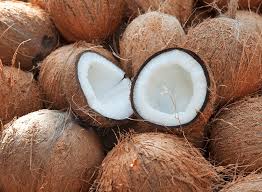 Coconut